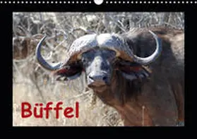 Ohm |  Büffel (Wandkalender 2020 DIN A3 quer) | Sonstiges |  Sack Fachmedien