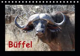 Ohm |  Büffel (Tischkalender 2020 DIN A5 quer) | Sonstiges |  Sack Fachmedien