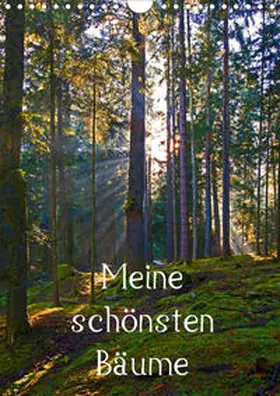 Kramer |  Meine schönsten Bäume (Wandkalender 2020 DIN A4 hoch) | Sonstiges |  Sack Fachmedien