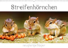 Mosert | Streifenhörnchen - neugierige Nager (Wandkalender 2020 DIN A3 quer) | Sonstiges | 978-3-670-72073-7 | www.sack.de