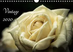 Pfeiffer |  Vintage - Naturaufnahmen (Wandkalender 2020 DIN A4 quer) | Sonstiges |  Sack Fachmedien