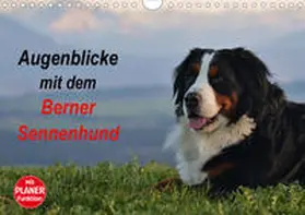 Hunscheidt |  Augenblicke mit dem Berner Sennenhund (Wandkalender 2020 DIN A4 quer) | Sonstiges |  Sack Fachmedien