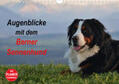 Hunscheidt |  Augenblicke mit dem Berner Sennenhund (Wandkalender 2020 DIN A4 quer) | Sonstiges |  Sack Fachmedien