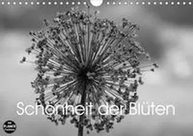 Busch | Schönheit der Blüten (Wandkalender 2020 DIN A4 quer) | Sonstiges | 978-3-670-74572-3 | www.sack.de