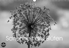 Busch |  Schönheit der Blüten (Wandkalender 2020 DIN A3 quer) | Sonstiges |  Sack Fachmedien
