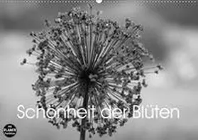 Busch | Schönheit der Blüten (Wandkalender 2020 DIN A2 quer) | Sonstiges | 978-3-670-74574-7 | www.sack.de