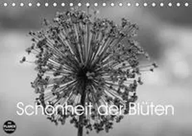 Busch |  Schönheit der Blüten (Tischkalender 2020 DIN A5 quer) | Sonstiges |  Sack Fachmedien