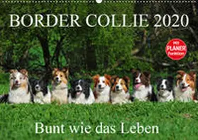 Starick |  Border Collie 2020 (Wandkalender 2020 DIN A2 quer) | Sonstiges |  Sack Fachmedien