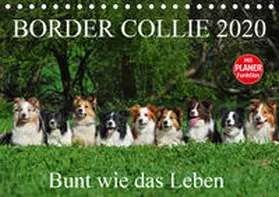 Starick |  Border Collie 2020 (Tischkalender 2020 DIN A5 quer) | Sonstiges |  Sack Fachmedien