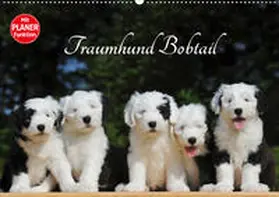 Starick |  Traumhund Bobtail (Wandkalender 2020 DIN A2 quer) | Sonstiges |  Sack Fachmedien