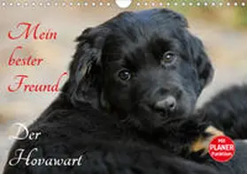 Starick |  Mein bester Freund - Der Hovawart (Wandkalender 2020 DIN A4 quer) | Sonstiges |  Sack Fachmedien