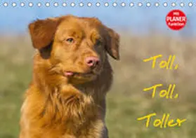 Starick |  Toll, toll, Toller (Tischkalender 2020 DIN A5 quer) | Sonstiges |  Sack Fachmedien