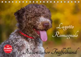 Starick |  Lagotto Romagnolo - Italienischer Trüffelhund (Tischkalender 2020 DIN A5 quer) | Sonstiges |  Sack Fachmedien