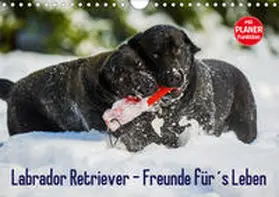 Starick |  Labrador Retriever - Freunde für´s Leben (Wandkalender 2020 DIN A4 quer) | Sonstiges |  Sack Fachmedien