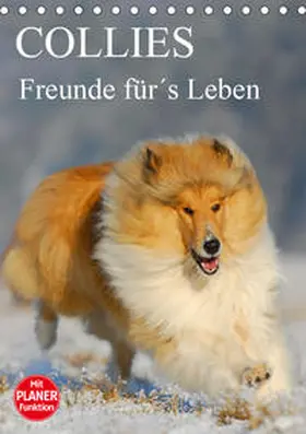 Starick |  Collies - Freunde für´s Leben (Tischkalender 2020 DIN A5 hoch) | Sonstiges |  Sack Fachmedien