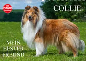 Starick |  Collie - Mein bester Freund (Wandkalender 2020 DIN A2 quer) | Sonstiges |  Sack Fachmedien