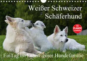 Starick |  Weißer Schweizer Schäferhund - Ein Tag im Leben einer Hundefamilie (Wandkalender 2020 DIN A4 quer) | Sonstiges |  Sack Fachmedien