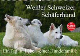 Starick |  Weißer Schweizer Schäferhund - Ein Tag im Leben einer Hundefamilie (Wandkalender 2020 DIN A2 quer) | Sonstiges |  Sack Fachmedien
