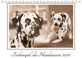 Mielewczyk |  Farbenspiel der Hunderassen (Tischkalender 2020 DIN A5 quer) | Sonstiges |  Sack Fachmedien