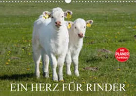 Starick |  Ein Herz für Rinder (Wandkalender 2020 DIN A3 quer) | Sonstiges |  Sack Fachmedien