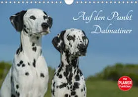 Starick |  Auf den Punkt - Dalmatiner (Wandkalender 2020 DIN A4 quer) | Sonstiges |  Sack Fachmedien