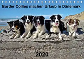 Busch |  Border Collies machen Urlaub in Dänemark (Tischkalender 2020 DIN A5 quer) | Sonstiges |  Sack Fachmedien