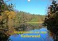 Busch |  Impressionen aus dem Kellerwald (Wandkalender 2020 DIN A3 quer) | Sonstiges |  Sack Fachmedien