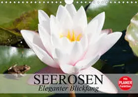 Stanzer | Seerosen. Eleganter Blickfang (Wandkalender 2020 DIN A4 quer) | Sonstiges | 978-3-670-76548-6 | www.sack.de