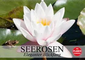 Stanzer | Seerosen. Eleganter Blickfang (Wandkalender 2020 DIN A2 quer) | Sonstiges | 978-3-670-76550-9 | www.sack.de