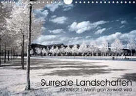 Buchmann |  Surreale Landschaften. INFRARROT - Wenn grün zu weiß wird (Wandkalender 2020 DIN A4 quer) | Sonstiges |  Sack Fachmedien