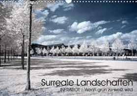 Buchmann |  Surreale Landschaften. INFRARROT - Wenn grün zu weiß wird (Wandkalender 2020 DIN A3 quer) | Sonstiges |  Sack Fachmedien