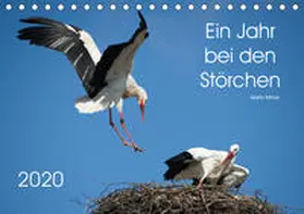 Bittner |  Ein Jahr bei den Störchen (Tischkalender 2020 DIN A5 quer) | Sonstiges |  Sack Fachmedien