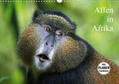 Herzog |  Affen in Afrika (Wandkalender 2020 DIN A3 quer) | Sonstiges |  Sack Fachmedien