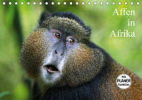 Herzog | Affen in Afrika (Tischkalender 2020 DIN A5 quer) | Sonstiges | 978-3-670-76796-1 | sack.de
