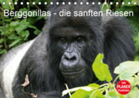 Herzog | Berggorillas - die sanften Riesen (Tischkalender 2020 DIN A5 quer) | Sonstiges | sack.de