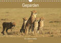 Herzog |  Geparden - Ein Leben in Afrika (Wandkalender 2020 DIN A4 quer) | Sonstiges |  Sack Fachmedien