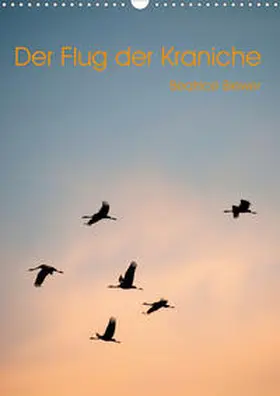 Biewer |  Der Flug der Kraniche (Wandkalender 2020 DIN A3 hoch) | Sonstiges |  Sack Fachmedien