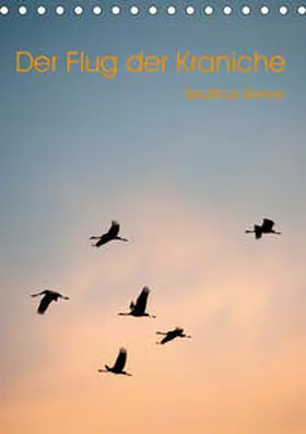 Biewer | Der Flug der Kraniche (Tischkalender 2020 DIN A5 hoch) | Sonstiges | 978-3-670-77390-0 | www.sack.de