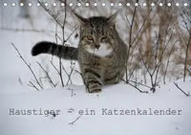Becker |  Haustiger - Ein Katzenkalender (Tischkalender 2020 DIN A5 quer) | Sonstiges |  Sack Fachmedien