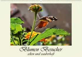 Djeric |  Blumen-Besucher - selten und zauberhaft (Wandkalender 2020 DIN A2 quer) | Sonstiges |  Sack Fachmedien
