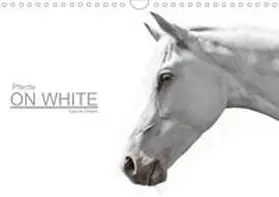 Peters |  Pferde ON WHITE (Wandkalender 2020 DIN A4 quer) | Sonstiges |  Sack Fachmedien