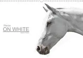 Peters |  Pferde ON WHITE (Wandkalender 2020 DIN A3 quer) | Sonstiges |  Sack Fachmedien