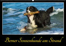 Starick |  Berner Sennenhunde am Strand (Wandkalender 2020 DIN A2 quer) | Sonstiges |  Sack Fachmedien