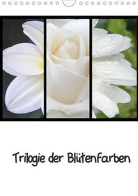Busch |  Trilogie der Blütenfarben (Wandkalender 2020 DIN A4 hoch) | Sonstiges |  Sack Fachmedien