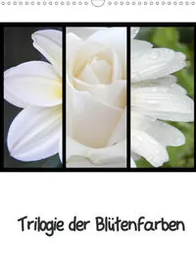 Busch |  Trilogie der Blütenfarben (Wandkalender 2020 DIN A3 hoch) | Sonstiges |  Sack Fachmedien