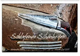 Graf |  Schlafende Schönheiten - Automobile Patina (Wandkalender 2020 DIN A2 quer) | Sonstiges |  Sack Fachmedien