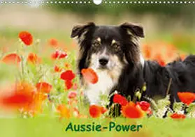 Mayer |  Aussie-Power (Wandkalender 2020 DIN A3 quer) | Sonstiges |  Sack Fachmedien