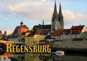 Bleicher |  Regensburg erleben (Wandkalender 2020 DIN A3 quer) | Sonstiges |  Sack Fachmedien