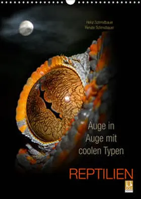 Schmidbauer |  Auge in Auge mit coolen Typen - REPTILIEN (Wandkalender 2020 DIN A3 hoch) | Sonstiges |  Sack Fachmedien