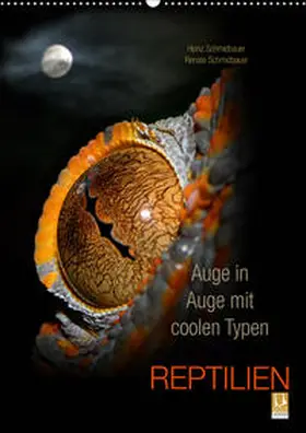 Schmidbauer |  Auge in Auge mit coolen Typen - REPTILIEN (Wandkalender 2020 DIN A2 hoch) | Sonstiges |  Sack Fachmedien